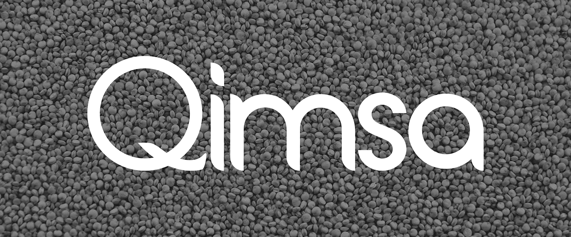 qimsa logo